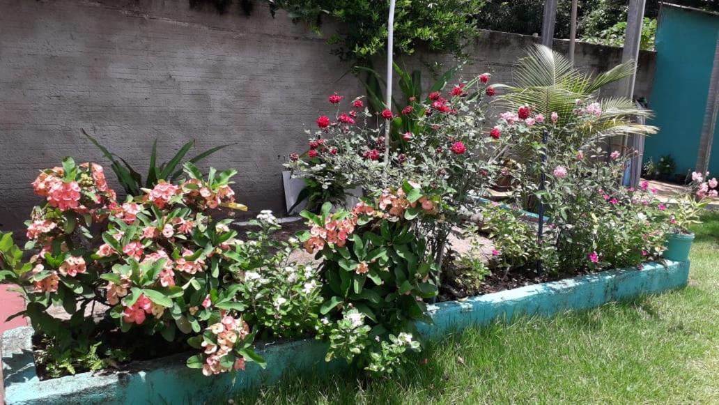 Pousada Tropicaliente Alter do Chão Ngoại thất bức ảnh